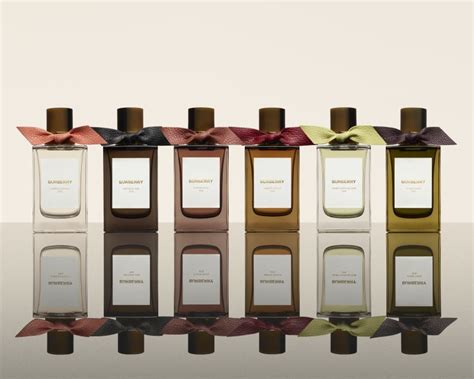 burberry special collection heart|Burberry signatures for men.